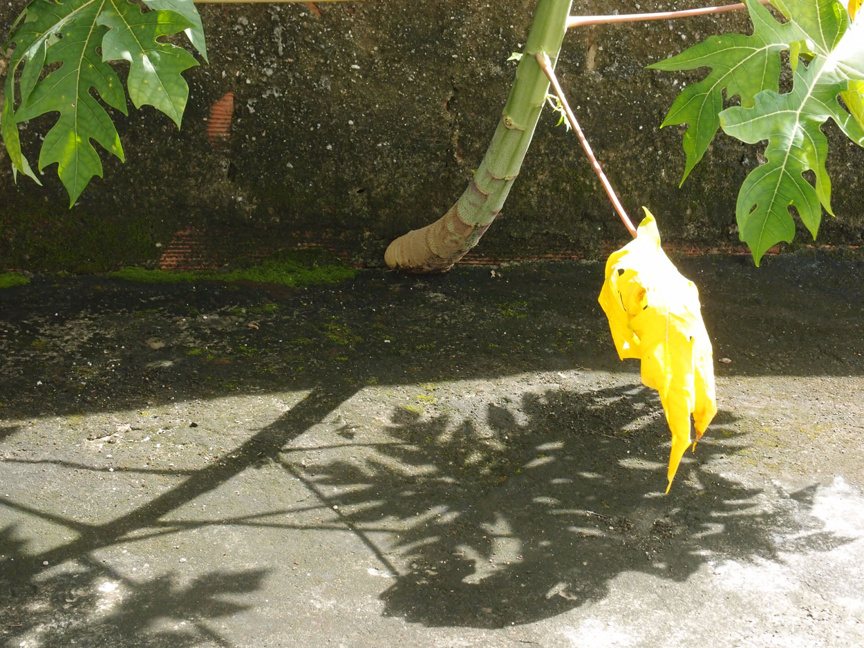 2016-01-21 03 Niteroi (Fotos Casa mais maravilhosa)